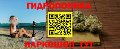 ПСИЛОЦИБИНОВЫЕ ГРИБЫ Бузулук
