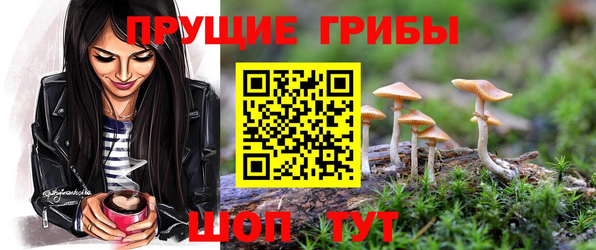 Шали  Псилоцибиновые грибы Magic Shrooms  Вход с VPN 